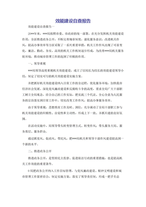 效能建设自查报告