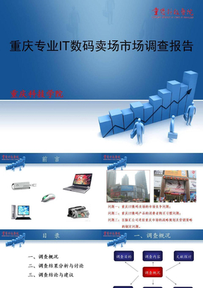 重庆专业IT数码卖场市场调查报告