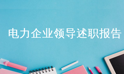 电力企业领导述职报告