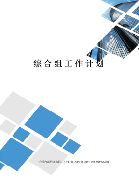 综合组工作计划