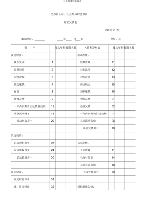 社会团体财务报表