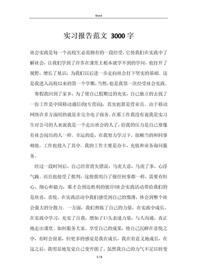 实习报告范文 3000字