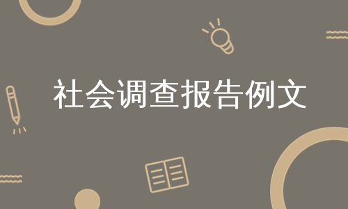 社会调查报告例文