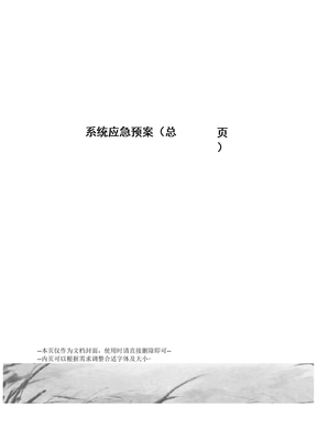 系统应急预案