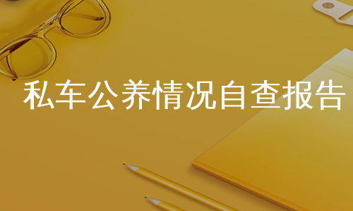 私车公养情况自查报告