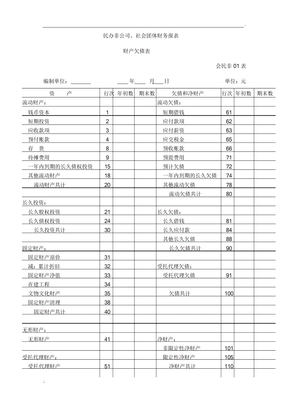 社会团体财务报表