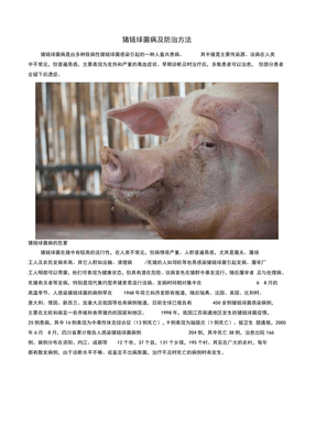 猪链球菌病及防治方法