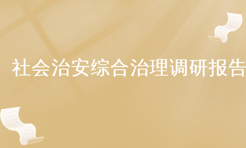 社会治安综合治理调研报告