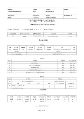 个人信用报告模板