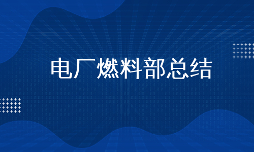 电厂燃料部总结