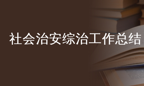 社会治安综治工作总结