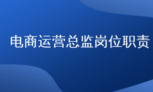 电商运营总监岗位职责