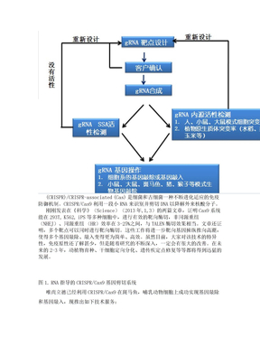 基因敲除