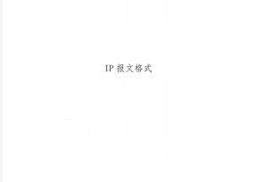IP报文格式
