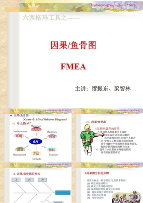FMEA鱼刺图讲义
