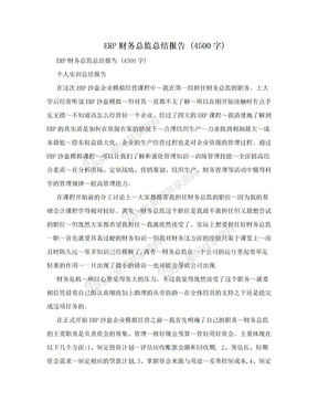 ERP财务总监总结报告 (4500字)