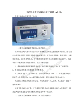 [精华]全数字励磁电压疗养器pxl-3b
