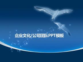 海鸥展翅翱翔团队介绍ppt模板