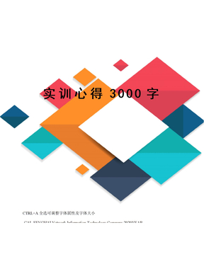 实训心得3000字