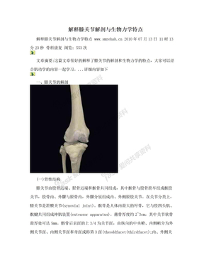 解释膝关节解剖与生物力学特点
