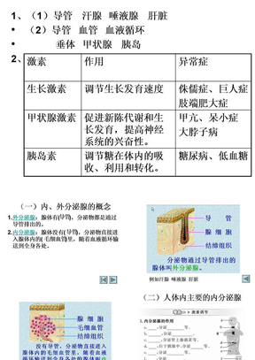 2012七年级生物激素调节