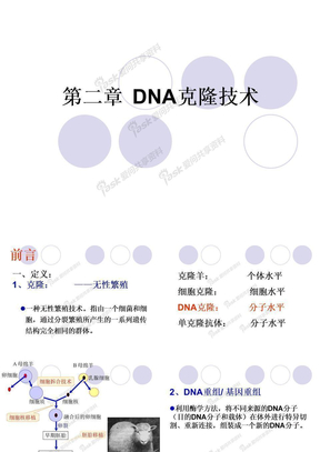 2 DNA克隆技术