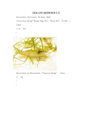 [优质文档]观赏虾种类大全