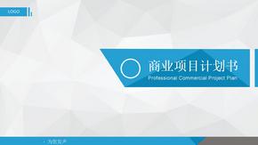 商业计划书模板模板021