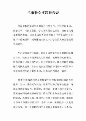 毛概社會實踐報告表