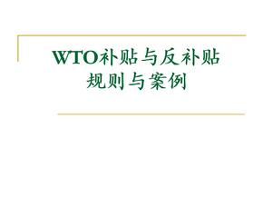 WTO补贴与反补贴规则与案例
