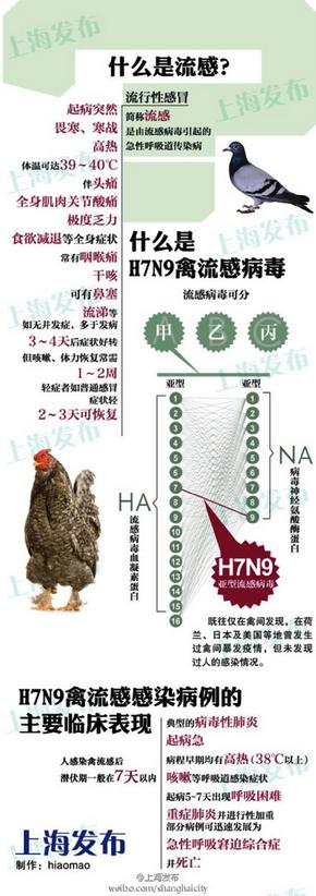图解H7N9禽流感