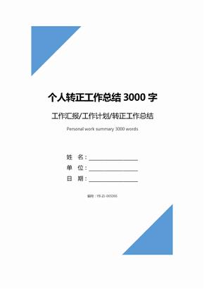 个人转正工作总结3000字