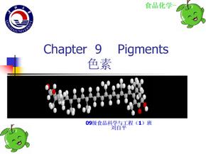 食品化学——色素