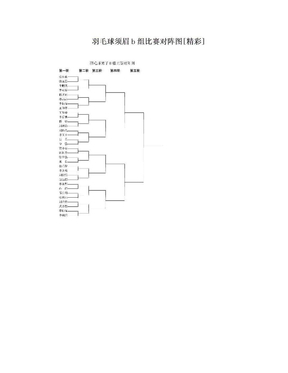 羽毛球须眉b组比赛对阵图[精彩]