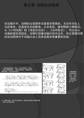 经典动画运动规律、四足动物与鸟类