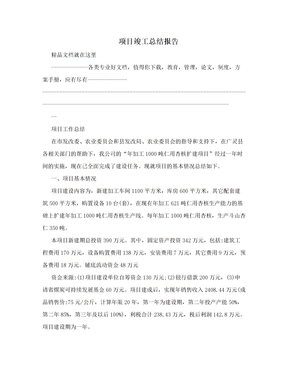 项目竣工总结报告