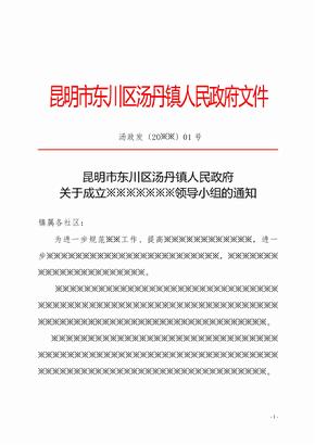 汤丹镇人民政府红头文件发文模板范例