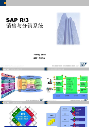 sap r3 销售与分销系统