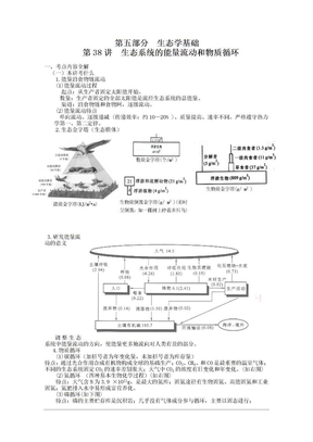 2011年高考生物复习教案：第38讲 生态系统的能量流动和物质循环