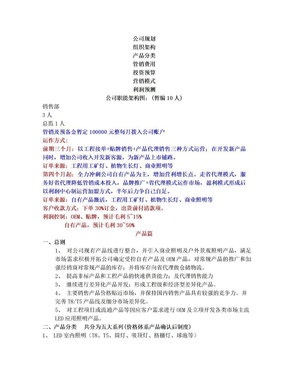 新公司成立规划策划方案