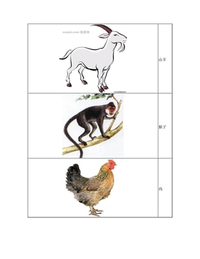幼儿识字卡片配图一：动植物