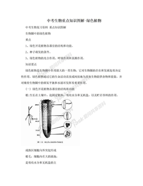 中考生物重点知识图解-绿色植物