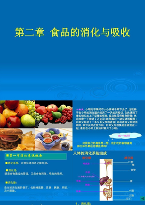 第二章 食品的消化与吸收