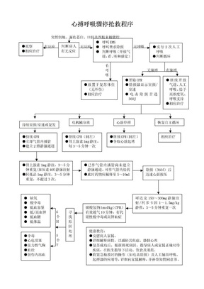 心搏呼吸骤停抢救程序