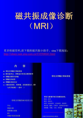 磁共振成像诊断-脊柱与脊髓疾病（MRI）