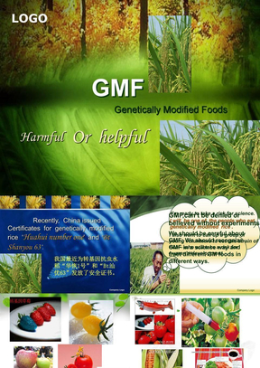 GMF_转基因食品的利与弊_英文课件