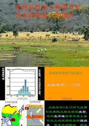 非洲热带草原气候及其成因课件