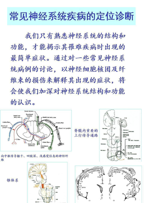 常见神经系统疾病的定位诊断