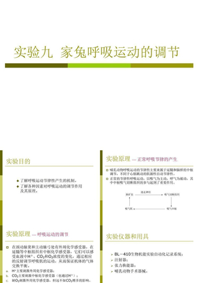 武汉大学动物生理实验九  家兔呼吸运动的调节