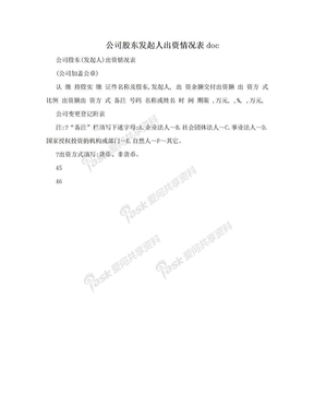 公司股东发起人出资情况表doc